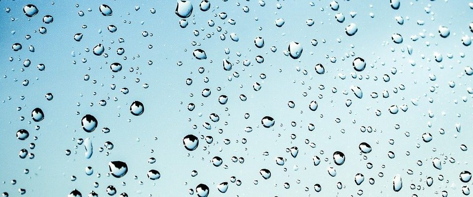 Jak využívat dešťovou vodu? To prozradí nový brněnský projekt