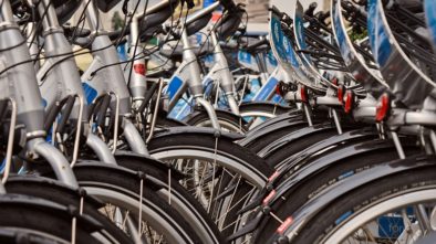 Od konce dubna jezdí cyklobusy mezi Brnem a Rakouskem