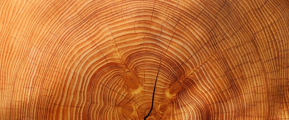 Dřevo jako stavební materiál nemá svého konkurenta