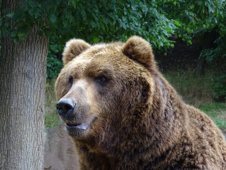 Brněnská zoo má nový přírůstek