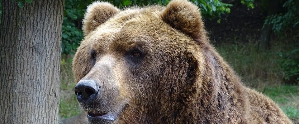 Brněnská zoo má nový přírůstek