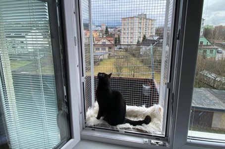 Vytvořte vašim mazlíčkům relax zónu pomocí závěsných košů do okna