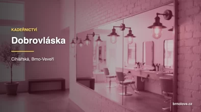 Ilustrační obrázek - Dobrovláska v Brně (ilustrační)