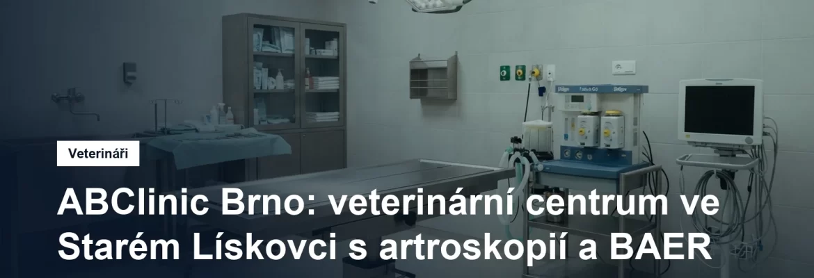 Klimatizovaný veterinární operační sál s inhalačním anesteziologickým přístrojem a operačním světlem