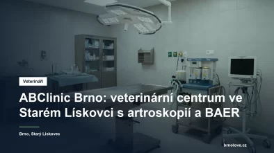Klimatizovaný veterinární operační sál s inhalačním anesteziologickým přístrojem a operačním světlem