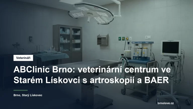 Klimatizovaný veterinární operační sál s inhalačním anesteziologickým přístrojem a operačním světlem