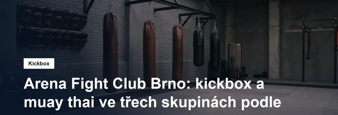 Tělocvična pro bojové sporty s lapami a pytli u stěny, bez lidí