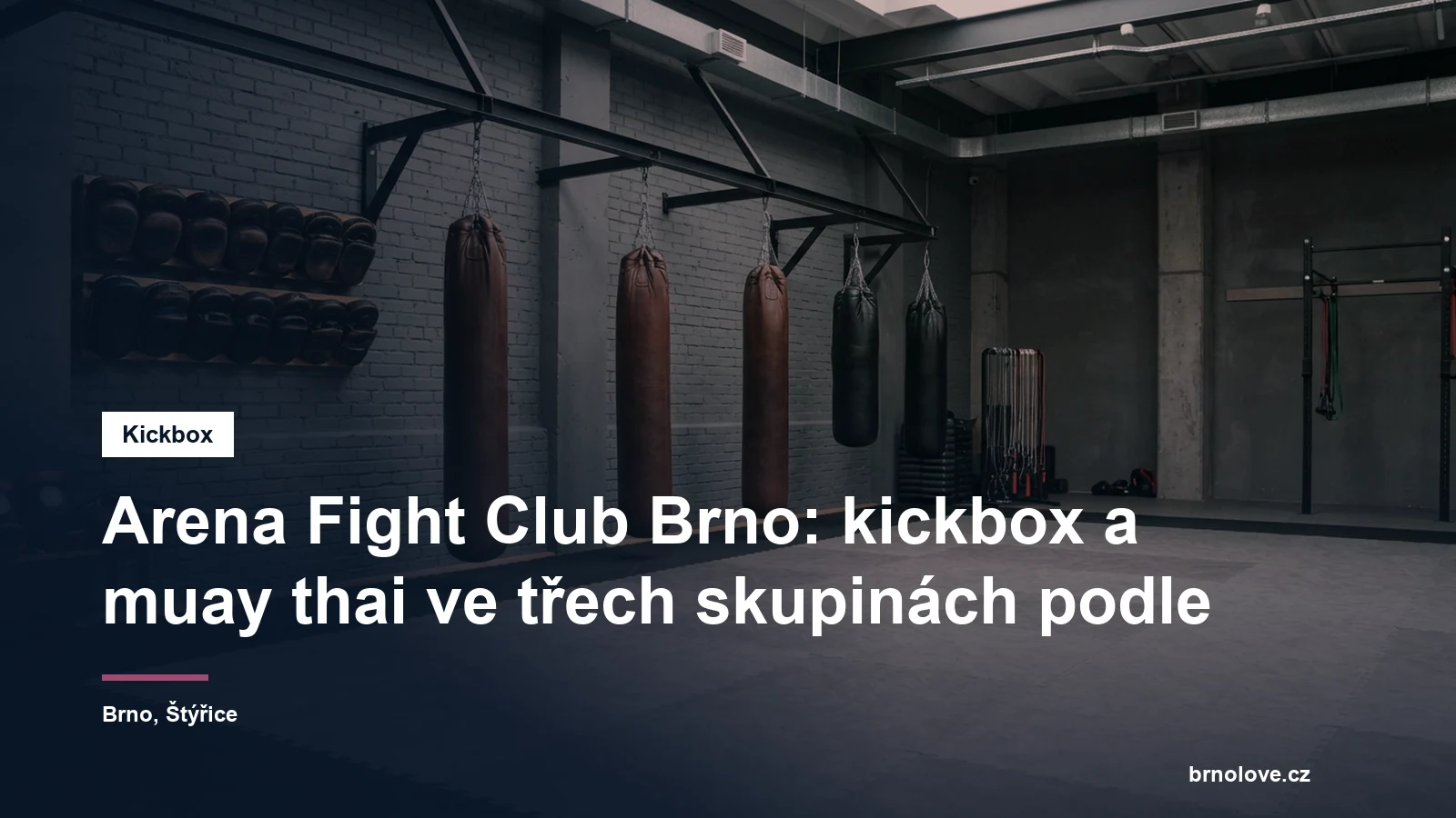 Tělocvična pro bojové sporty s lapami a pytli u stěny, bez lidí