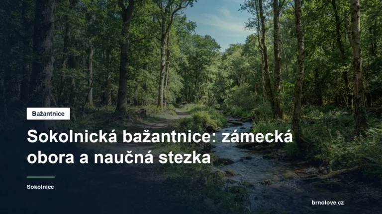 Obora s cestou a stromy