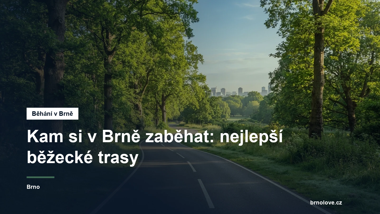 Běžecká stezka v parku mezi stromy