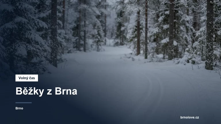 Upravená běžecká stopa v lese