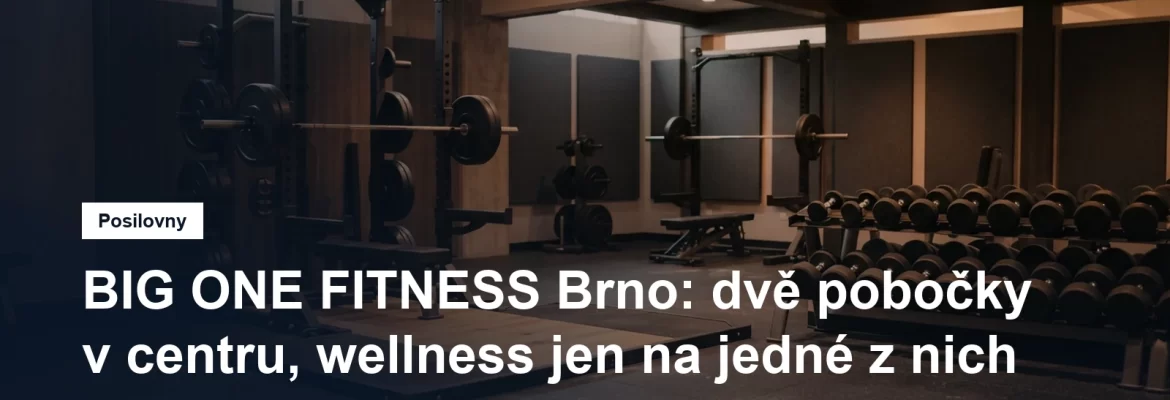 Činkovna fitness centra s vzpěračskou platformou, stojanem na dřepy a řadou jednoruček