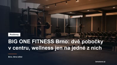 Činkovna fitness centra s vzpěračskou platformou, stojanem na dřepy a řadou jednoruček
