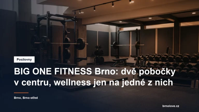 Činkovna fitness centra s vzpěračskou platformou, stojanem na dřepy a řadou jednoruček