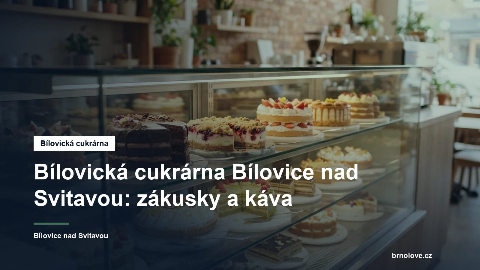 Vitrína cukrárny se zákusky
