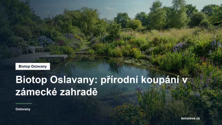 Přírodní koupací biotop v zahradě