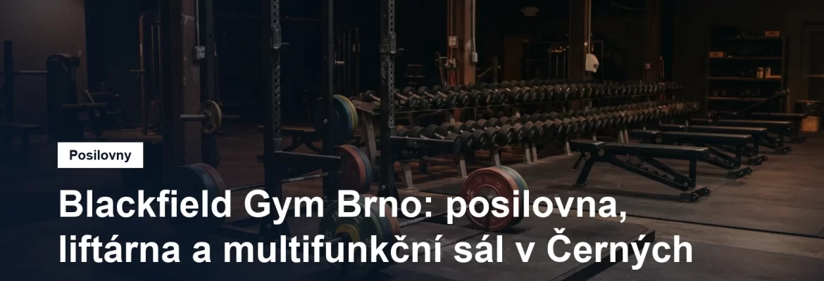 Vzpěračská zóna s dřepovacím stojanem, olympijskou osou a gumovými kotouči v brněnské posilovně