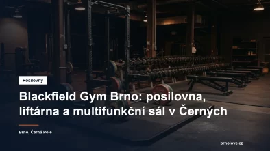 Vzpěračská zóna s dřepovacím stojanem, olympijskou osou a gumovými kotouči v brněnské posilovně