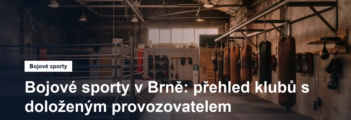 Tělocvična pro bojové sporty s ringem a pytli, připravená na trénink, bez lidí