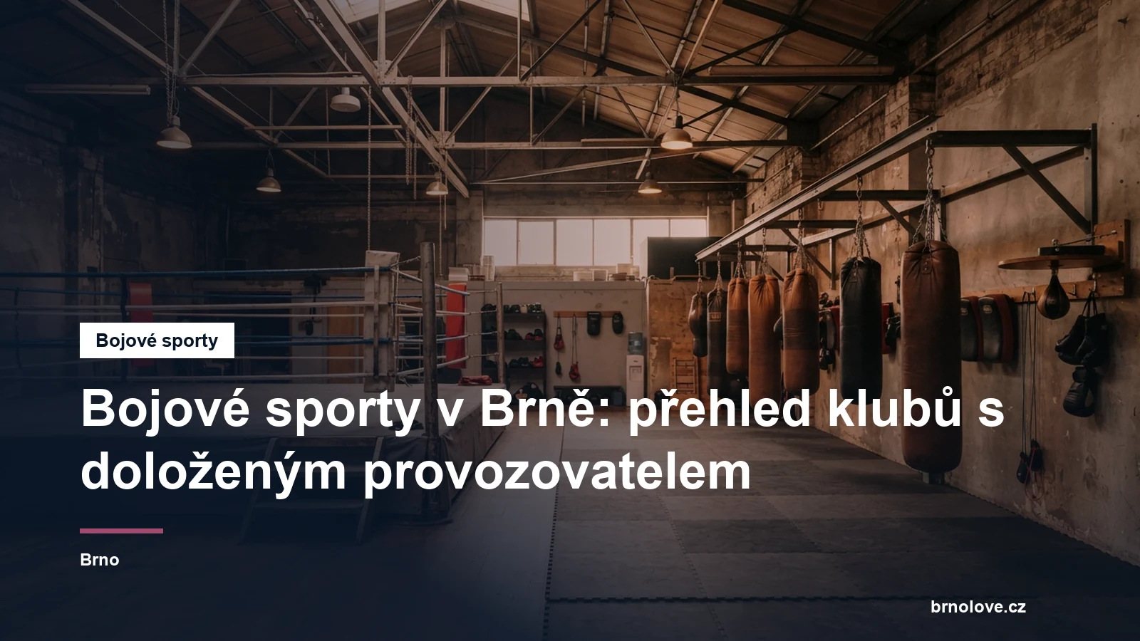 Tělocvična pro bojové sporty s ringem a pytli, připravená na trénink, bez lidí