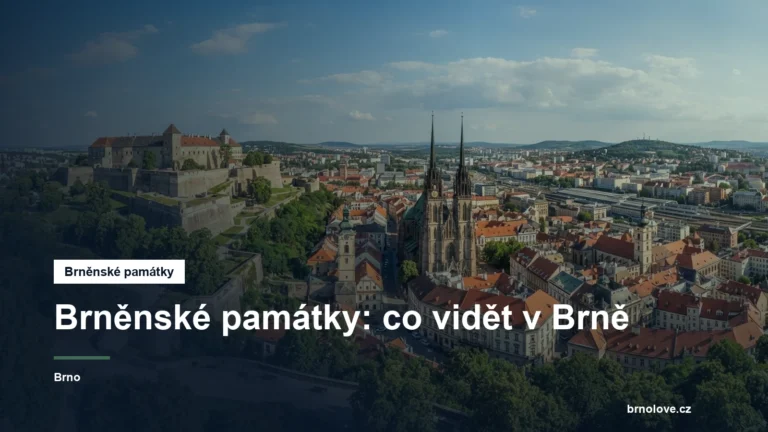 Panorama Brna s hradem a katedrálou