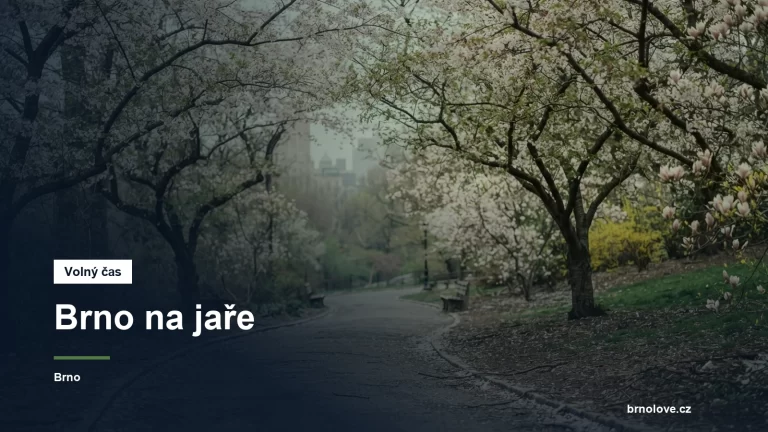 Rozkvetlý park na jaře
