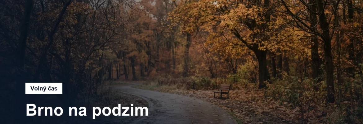 Podzimní park s ranním světlem