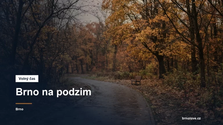 Podzimní park s ranním světlem