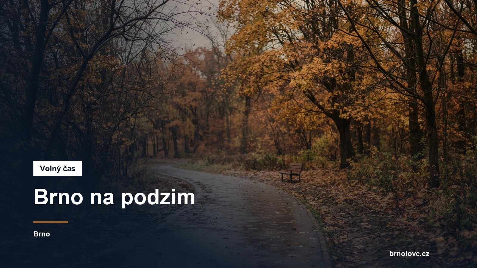 Podzimní park s ranním světlem