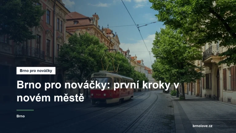 Pohled na centrum Brna s tramvají