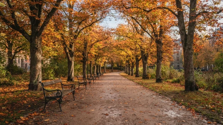 Historický park se stromořadím