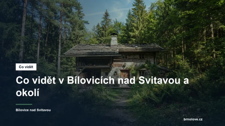 Lesní myslivna v hlubokém lese