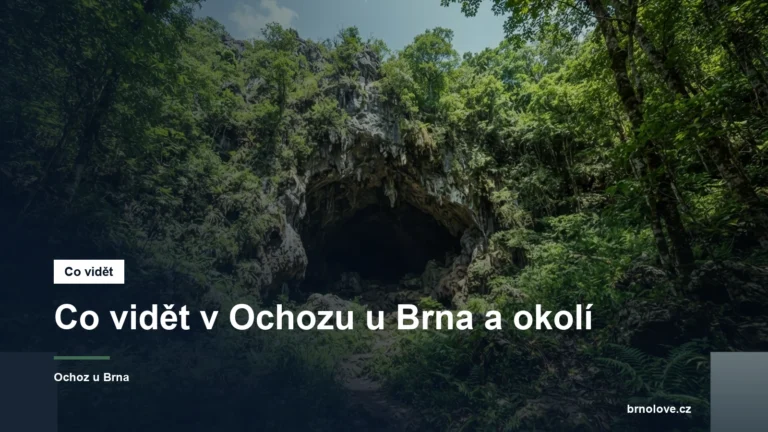 Vchod do krasové jeskyně v lese