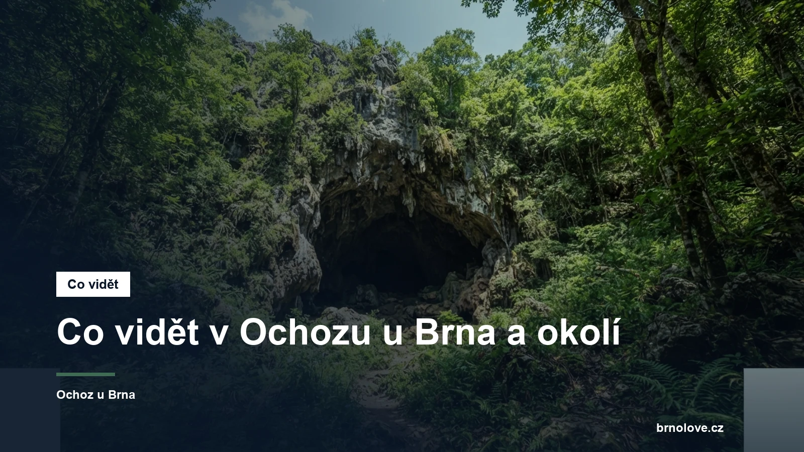 Vchod do krasové jeskyně v lese