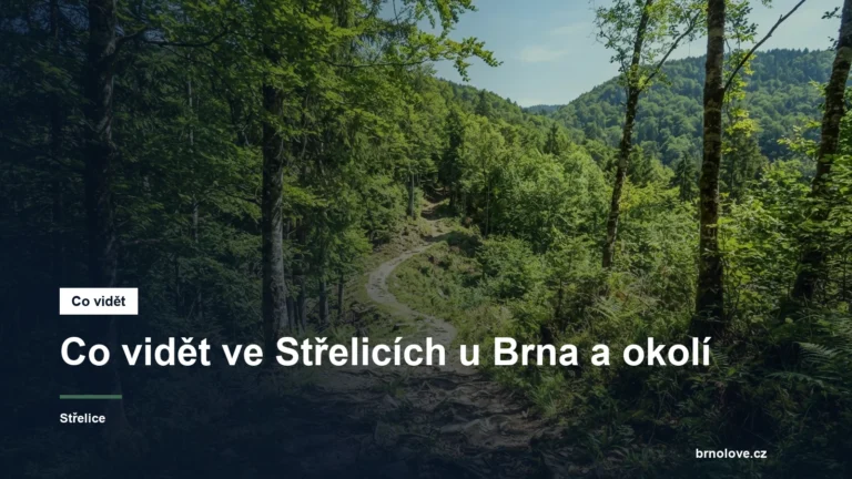 Lesní cesta v Bobravské vrchovině