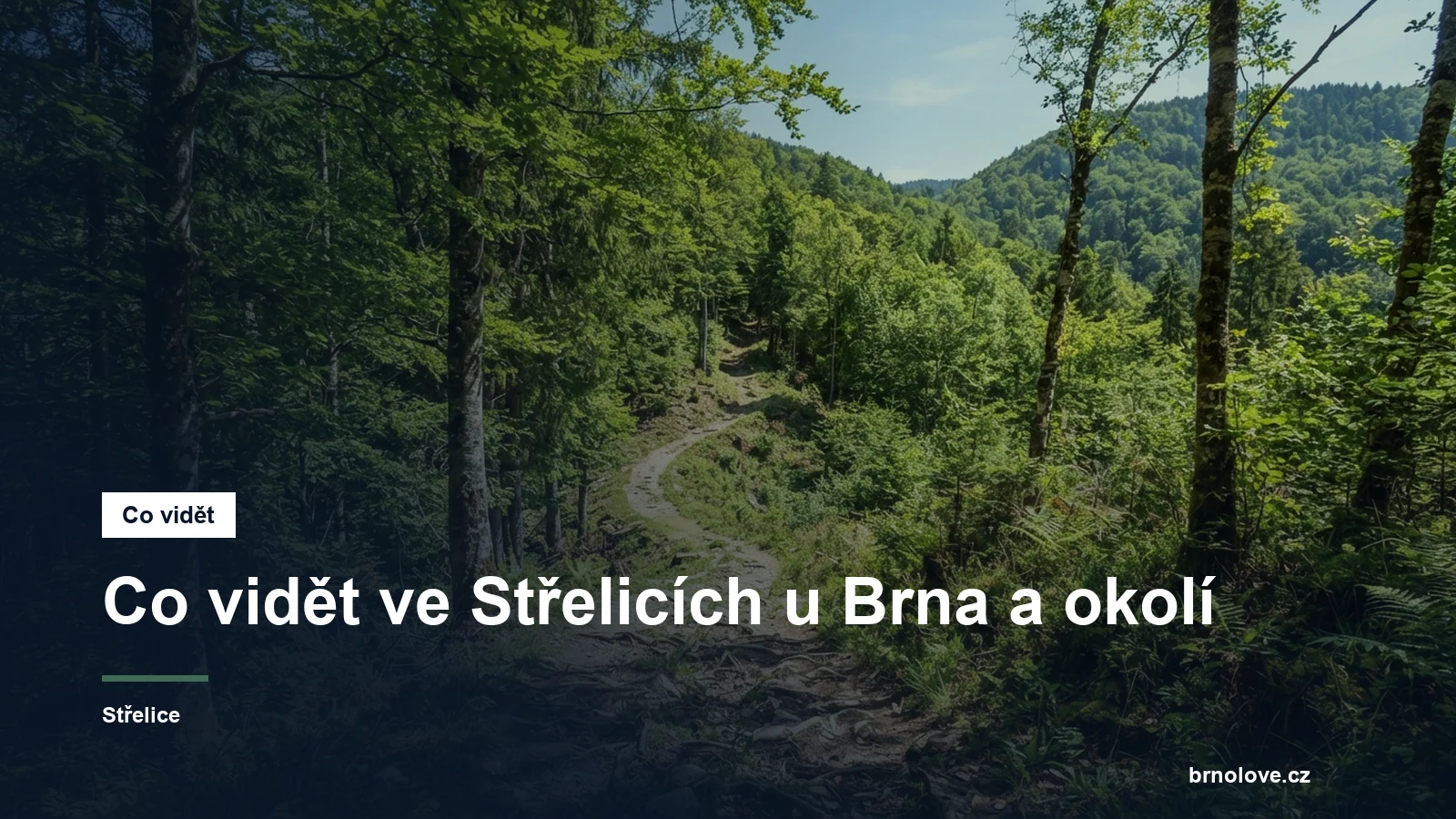 Lesní cesta v Bobravské vrchovině