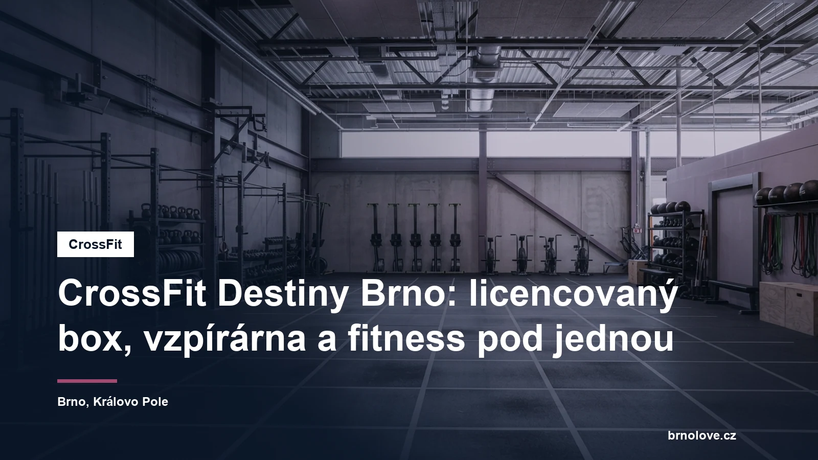 Prostorná hala s činkami, stojany a veslařskými trenažéry, bez lidí