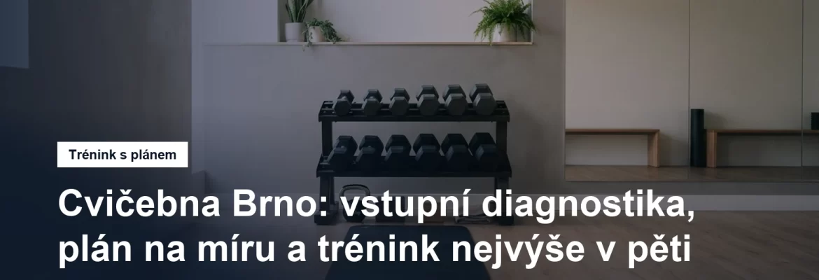 Cvičební stanoviště s činkami a podložkou v prosvětleném studiu, bez lidí