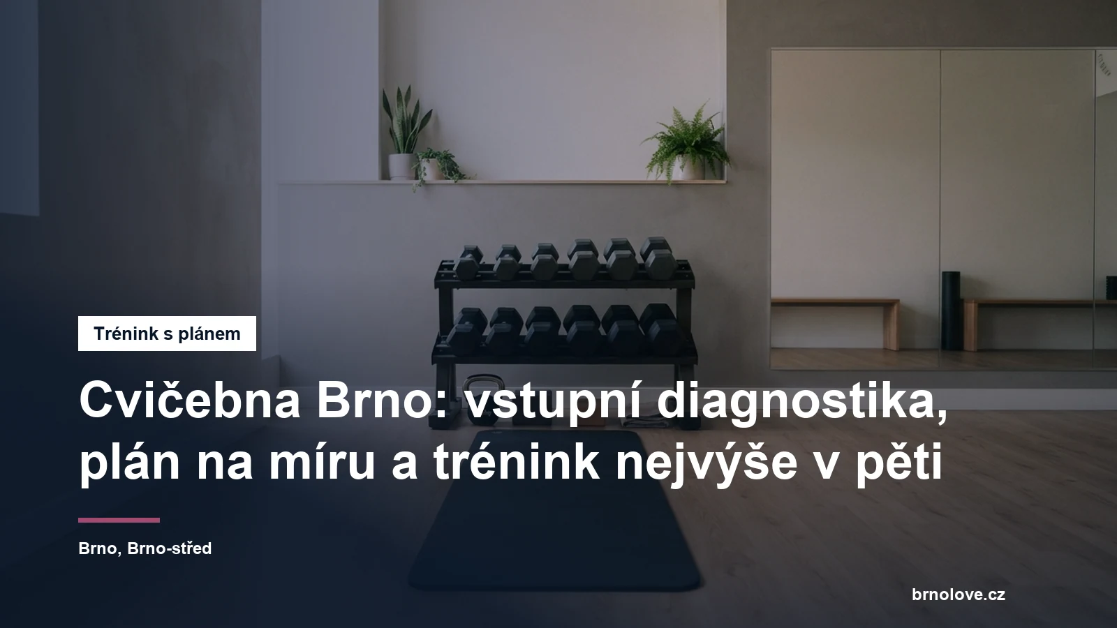 Cvičební stanoviště s činkami a podložkou v prosvětleném studiu, bez lidí