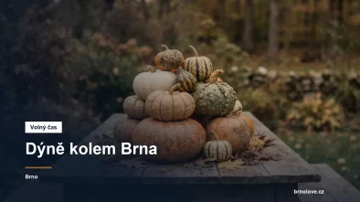 Dýně naskládané na dřevěném stole