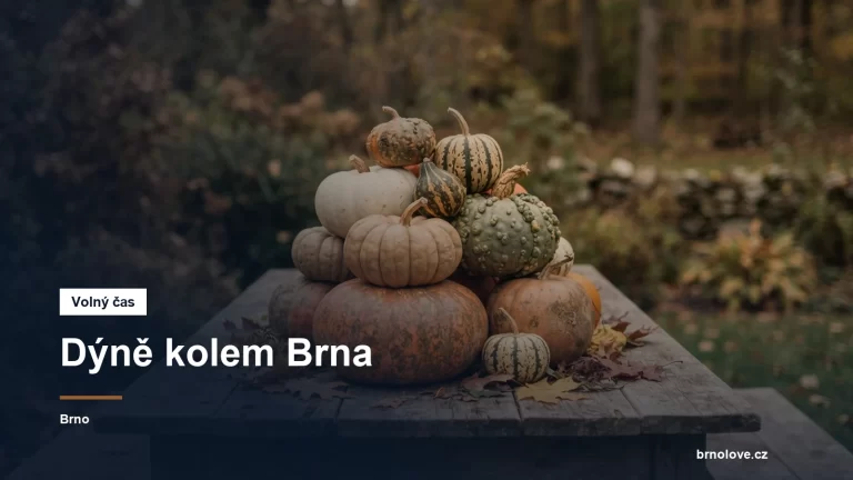 Dýně naskládané na dřevěném stole