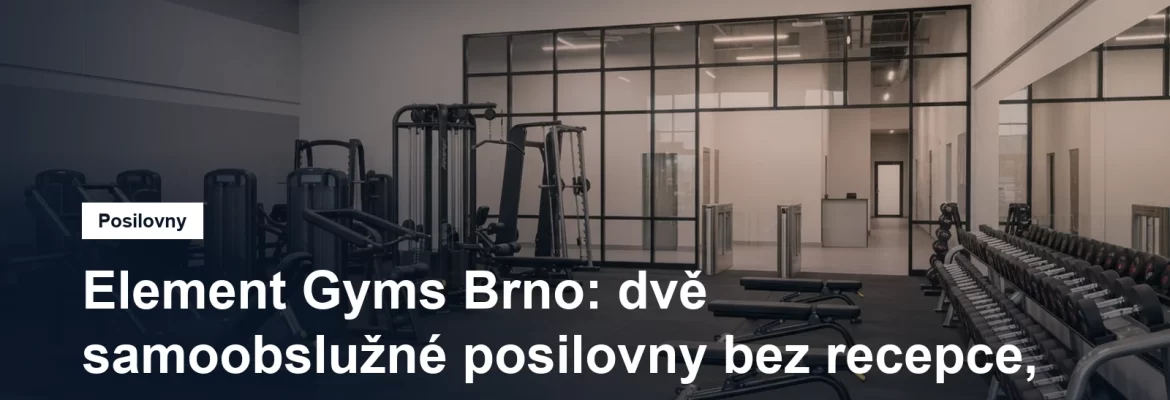 Prostorná posilovna s řadou silových strojů a stojanem s jednoručkami u prosklené stěny