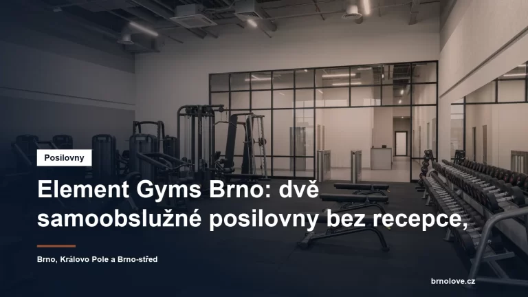 Prostorná posilovna s řadou silových strojů a stojanem s jednoručkami u prosklené stěny