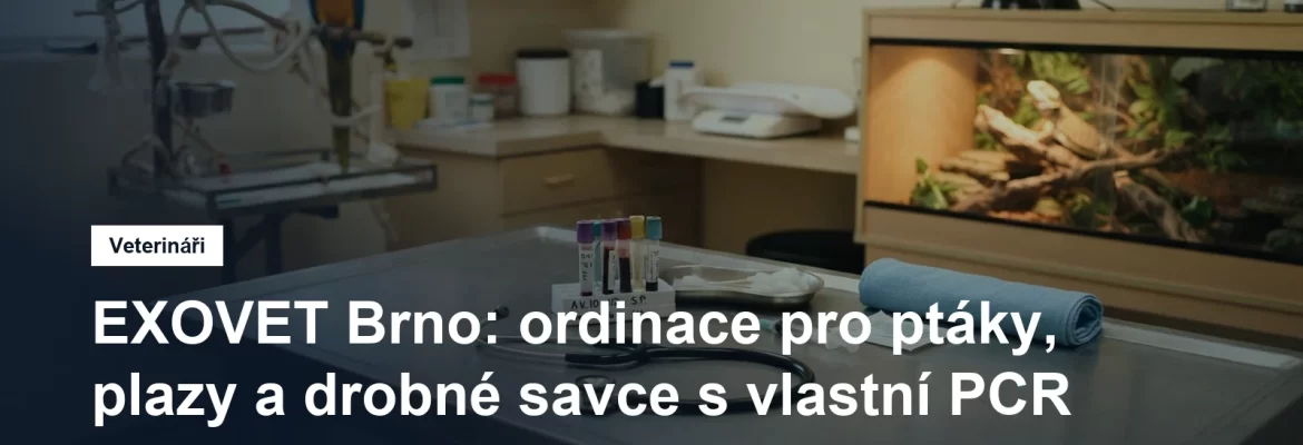 Veterinární vyšetření papouška v ordinaci specializované na exotická zvířata