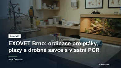 Veterinární vyšetření papouška v ordinaci specializované na exotická zvířata