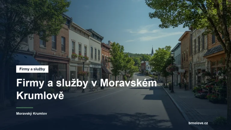 Ulice s obchody ve městě