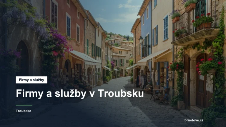 Ulice s obchody v obci