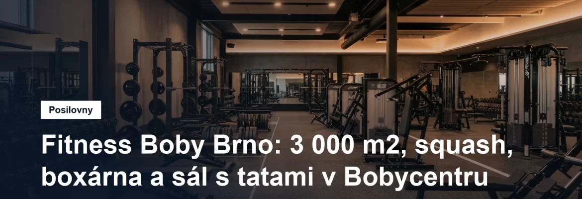 Prostorná posilovna s činkovými stojany a stroji ve velkém fitness centru