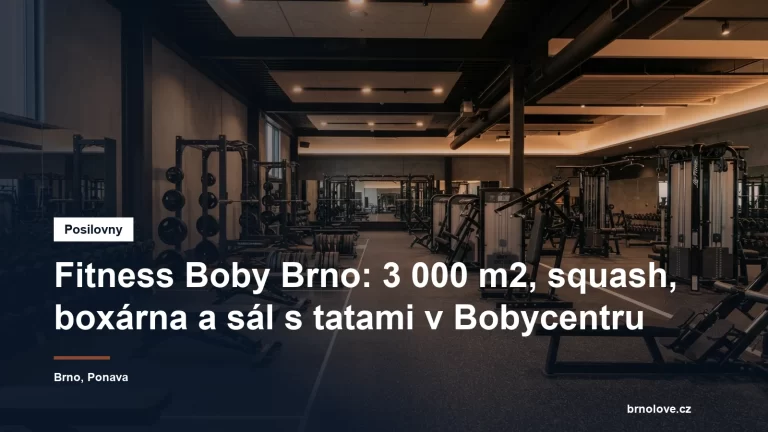 Prostorná posilovna s činkovými stojany a stroji ve velkém fitness centru