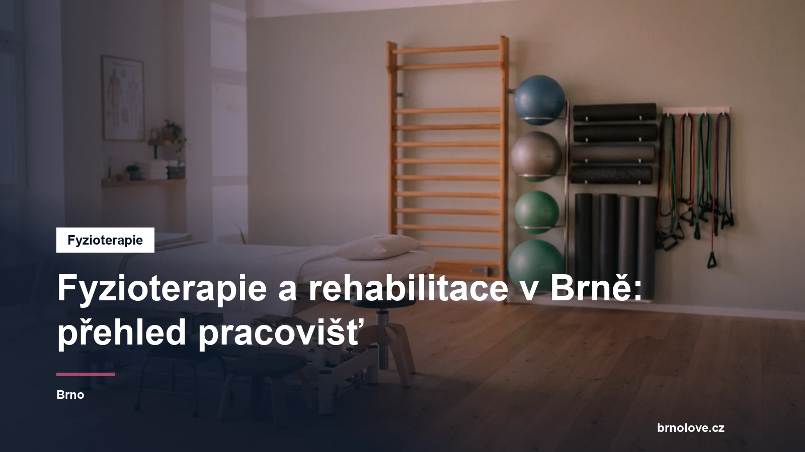 Rozcestník brněnských fyzioterapeutických pracovišť na brnolove.cz
